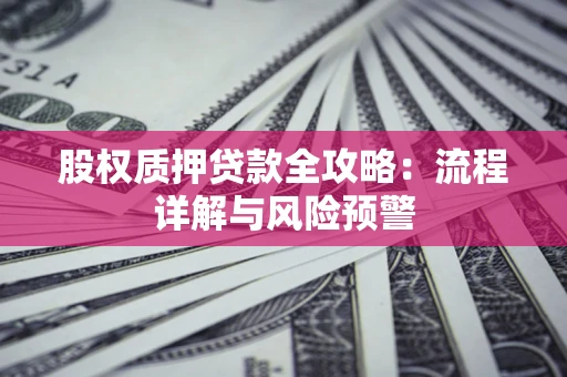 武汉股权质押贷款全攻略：流程详解与风险预警