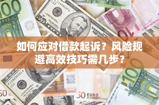 武汉如何应对借款起诉？风险规避高效技巧需几步？