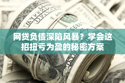 武汉网贷负债深陷风暴？学会这招扭亏为盈的秘密方案